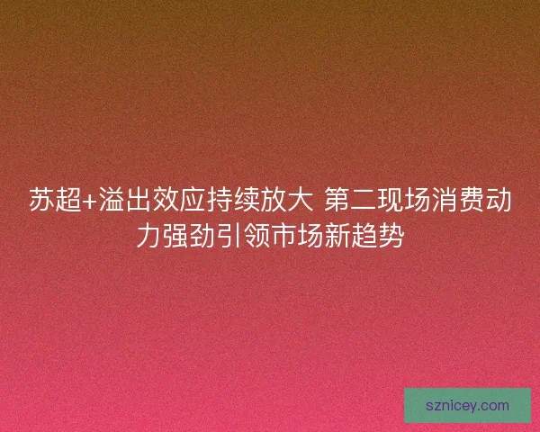 苏超+溢出效应持续放大 第二现场消费动力强劲引领市场新趋势